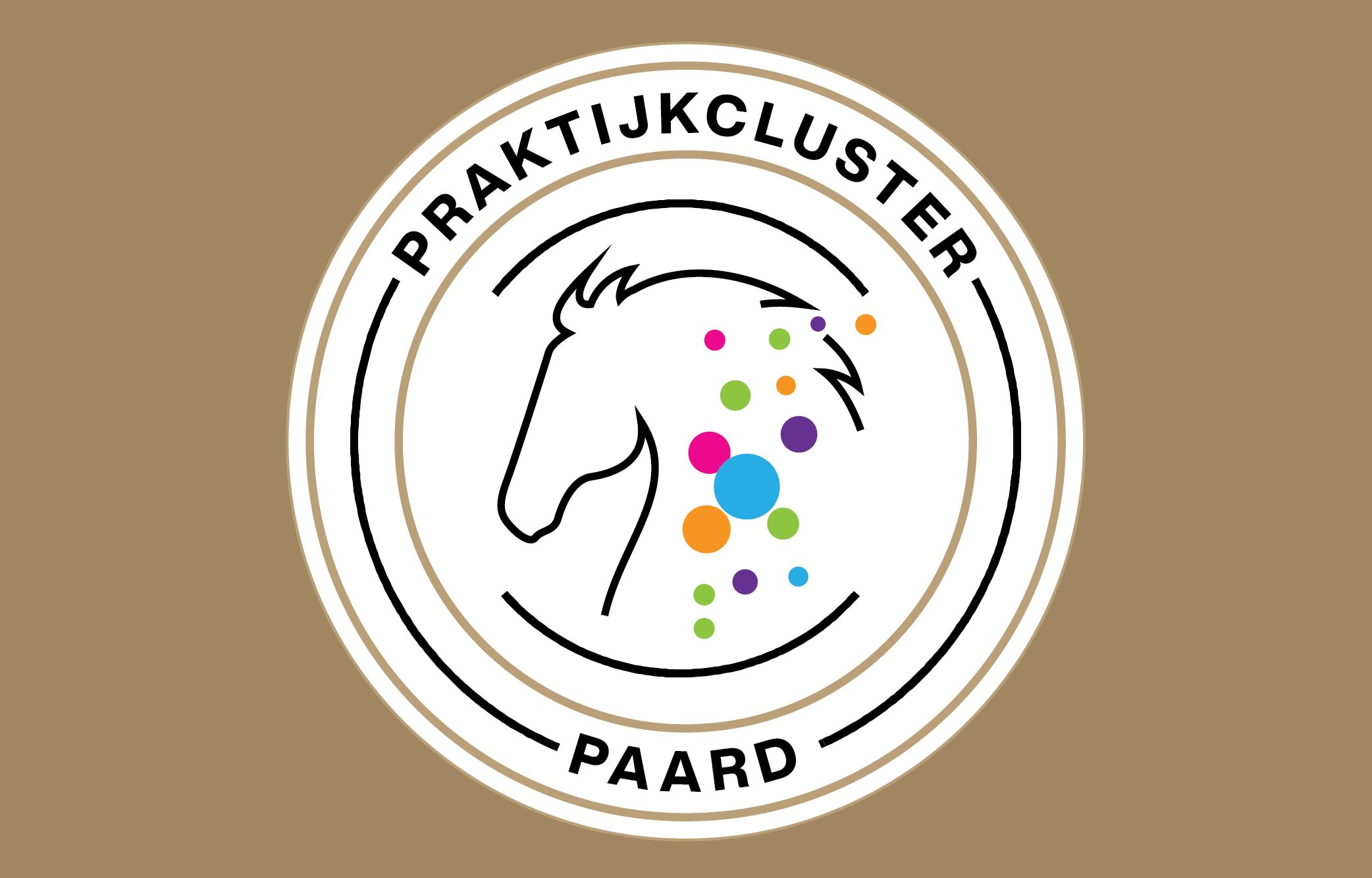 Praktijkcluster Paard